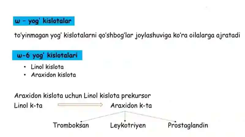 Lipidlarning hazmlanishi 4