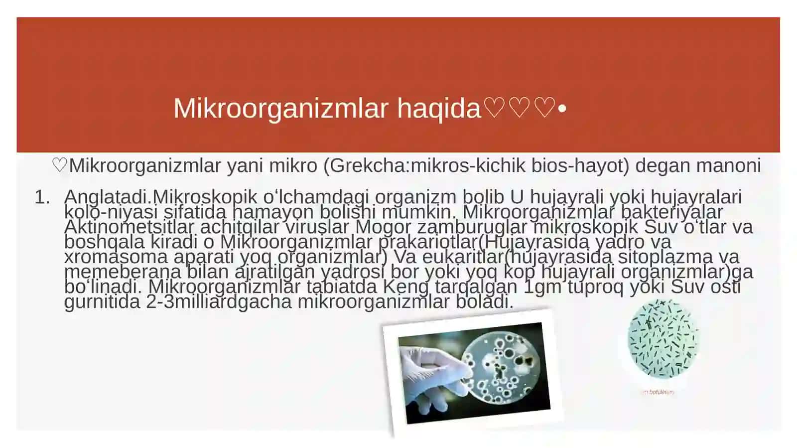 Mikroorganizmlarning sof kulturasini ajratib olish usullari 4