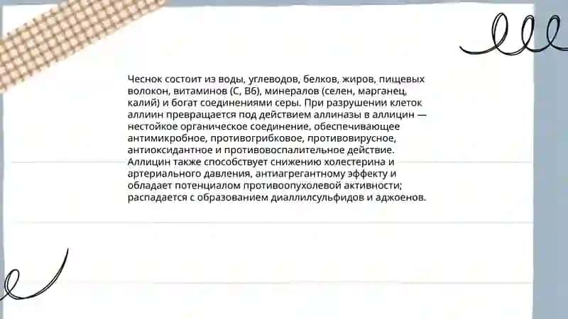 План: Целебные свойства чеснока 4