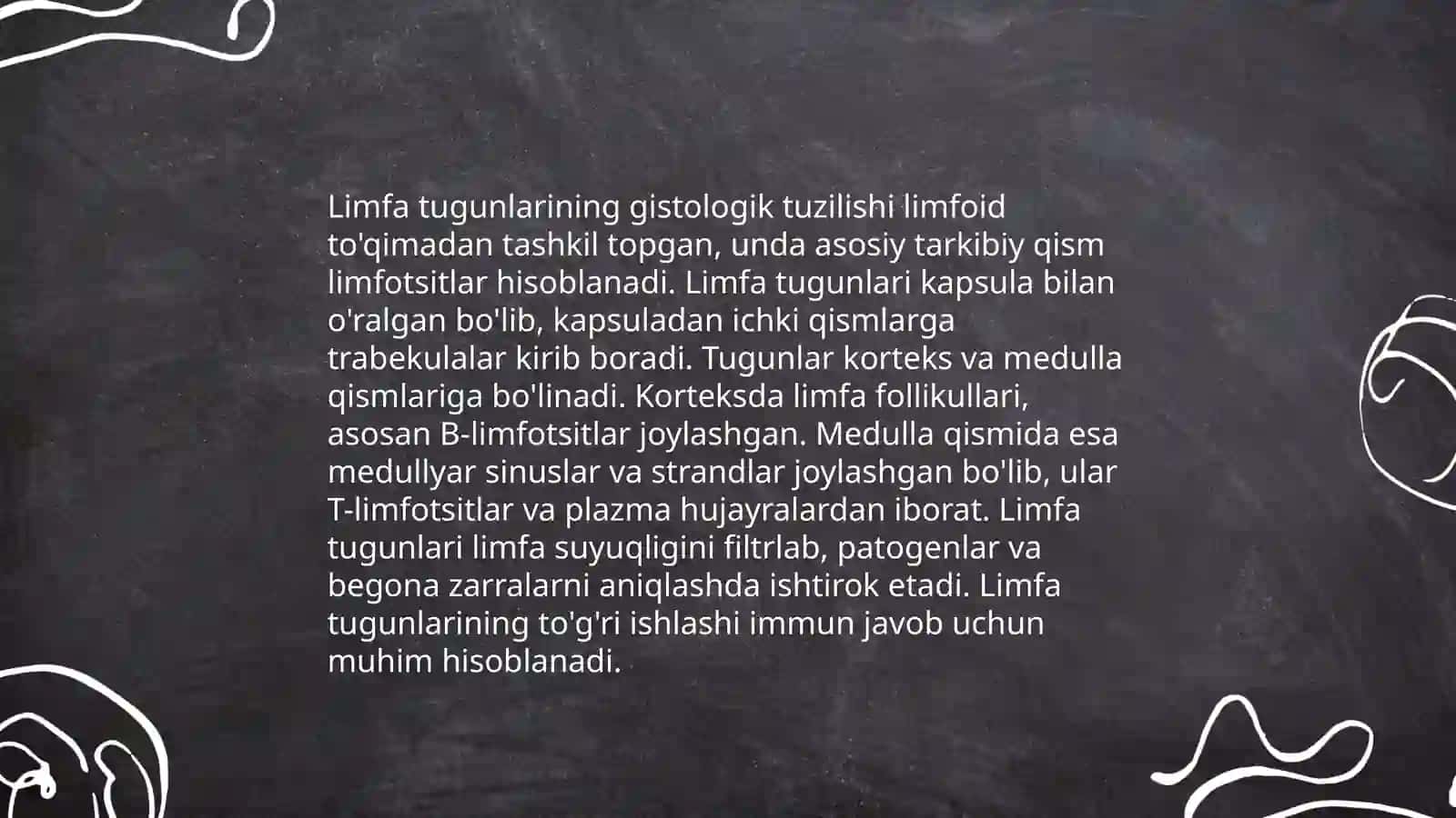 Limfa tugunlari tuzilishi 4