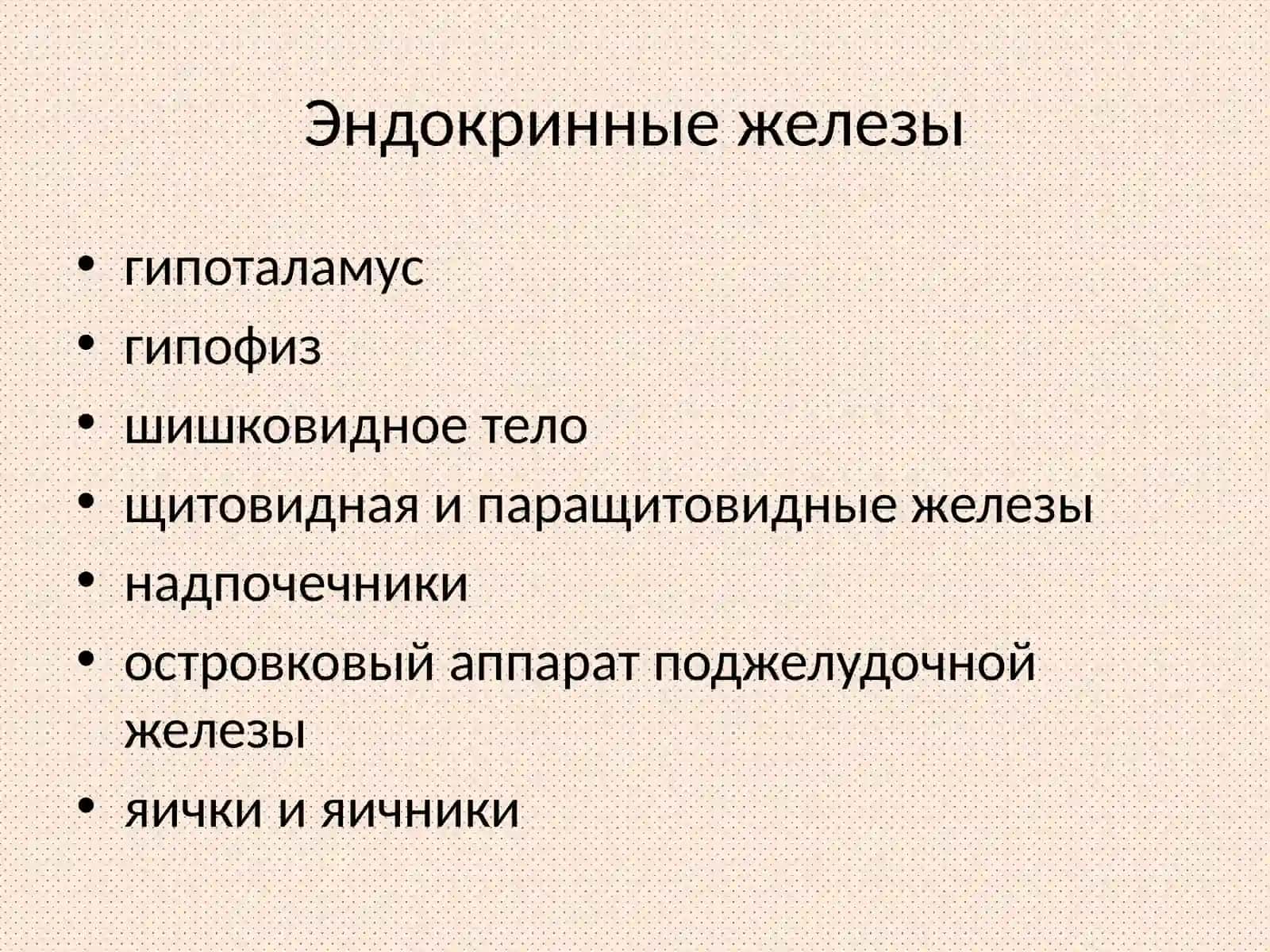Эндокринная система и ее возрастные особенности 4