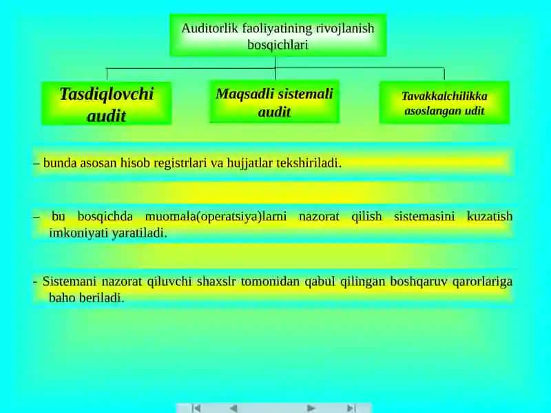Auditorlik faoliyatining mohiyati va vazifalari 4