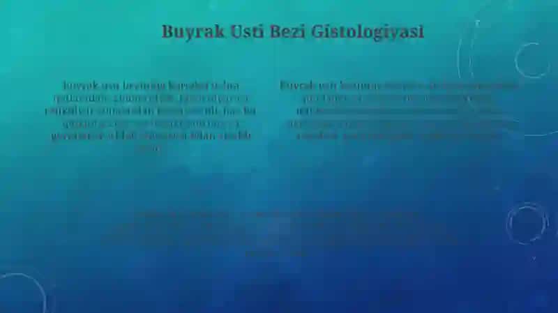 Endokrin tizim gistalogiyasi 4