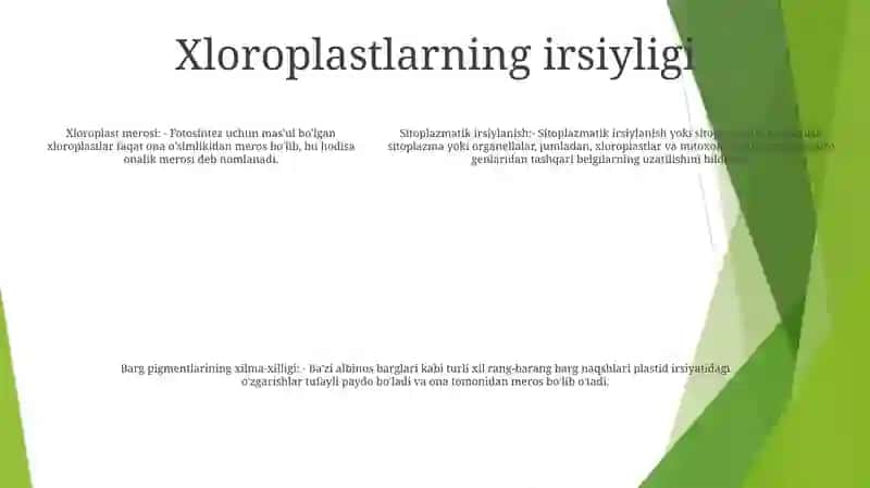 Sitoplazmatik Irsiylanish 4