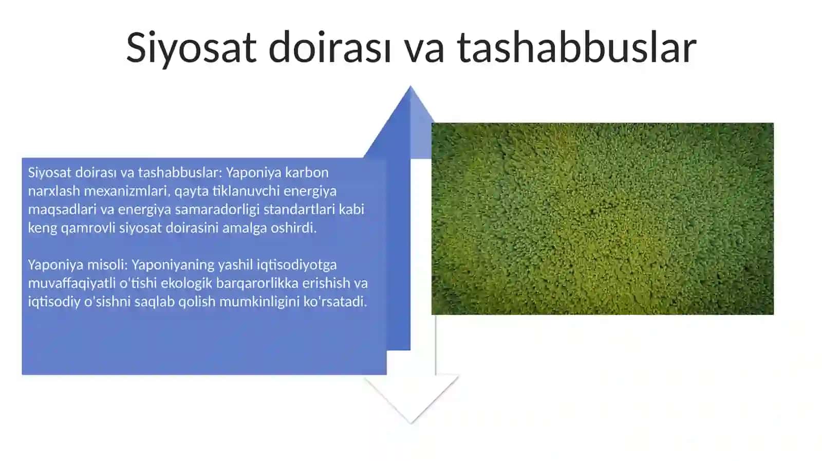Yaponiyaning Yashil O'tish Safarisi 4