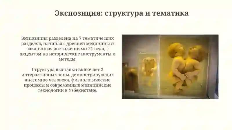 Музей здравоохранения Узбекистана 4