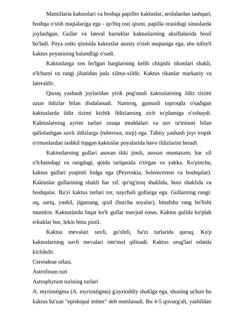 Kaktusdoshlar oilasi 4