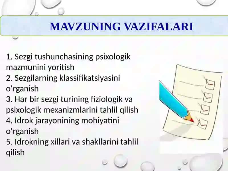 Sezgilar klassifikatsiyasi 4