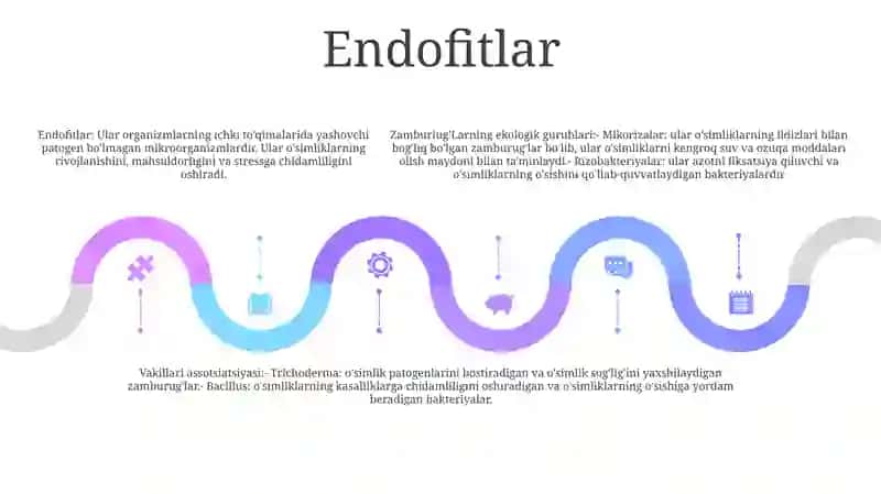 Zamburug'Larning Ekologik Guruhlari Va Asosiy Vakillari 4