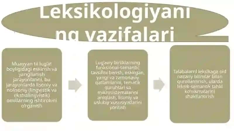 Leksikologiya 4