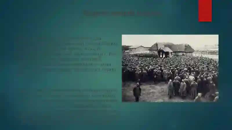 Подежи русского языка 4