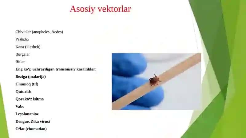 Transmissiv kasalliklar 4