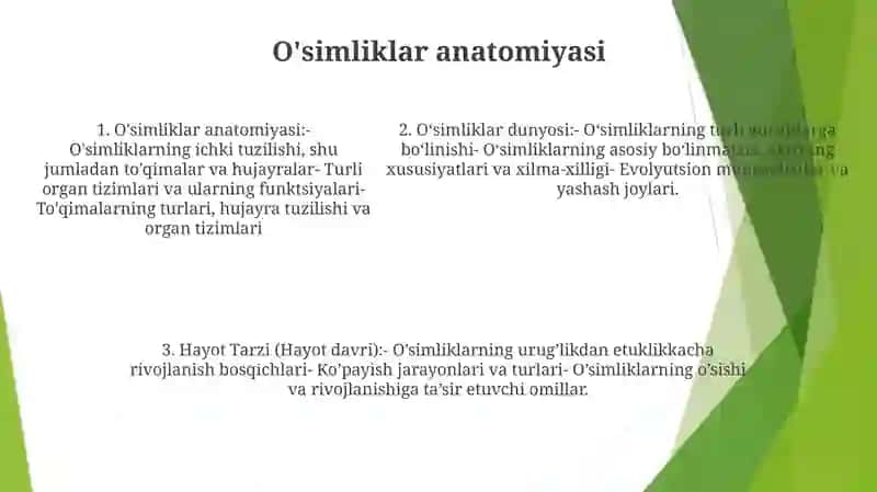 OʻSimliklar Dunyosi Va Ularning Hayot Tarzi 4