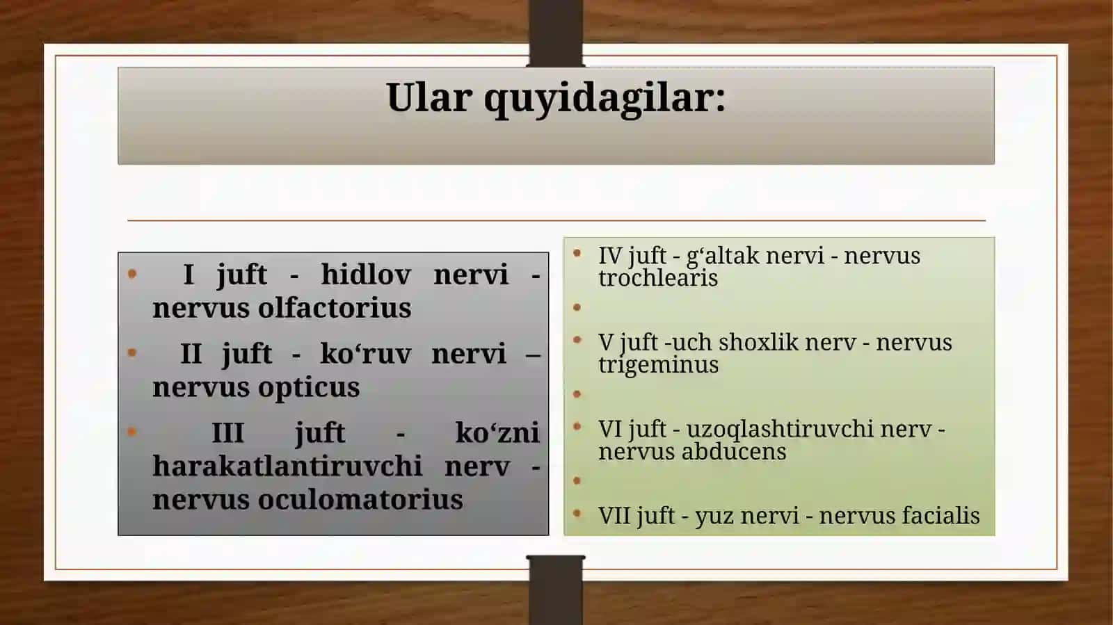 Bosh  miya nervlari 4