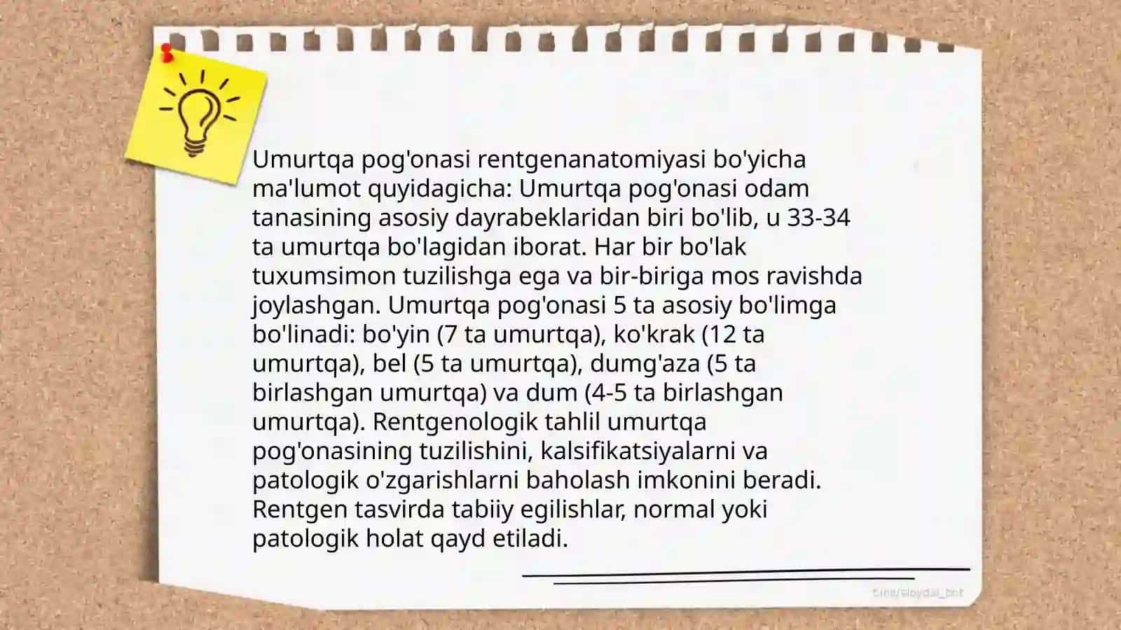 Boshsuyak rentgenanatomiyasi 4