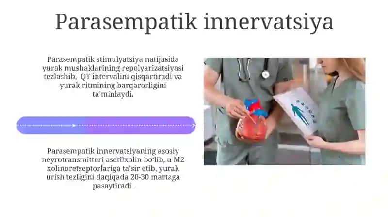 Yurak avtomatiyasining boshqarilishi 4