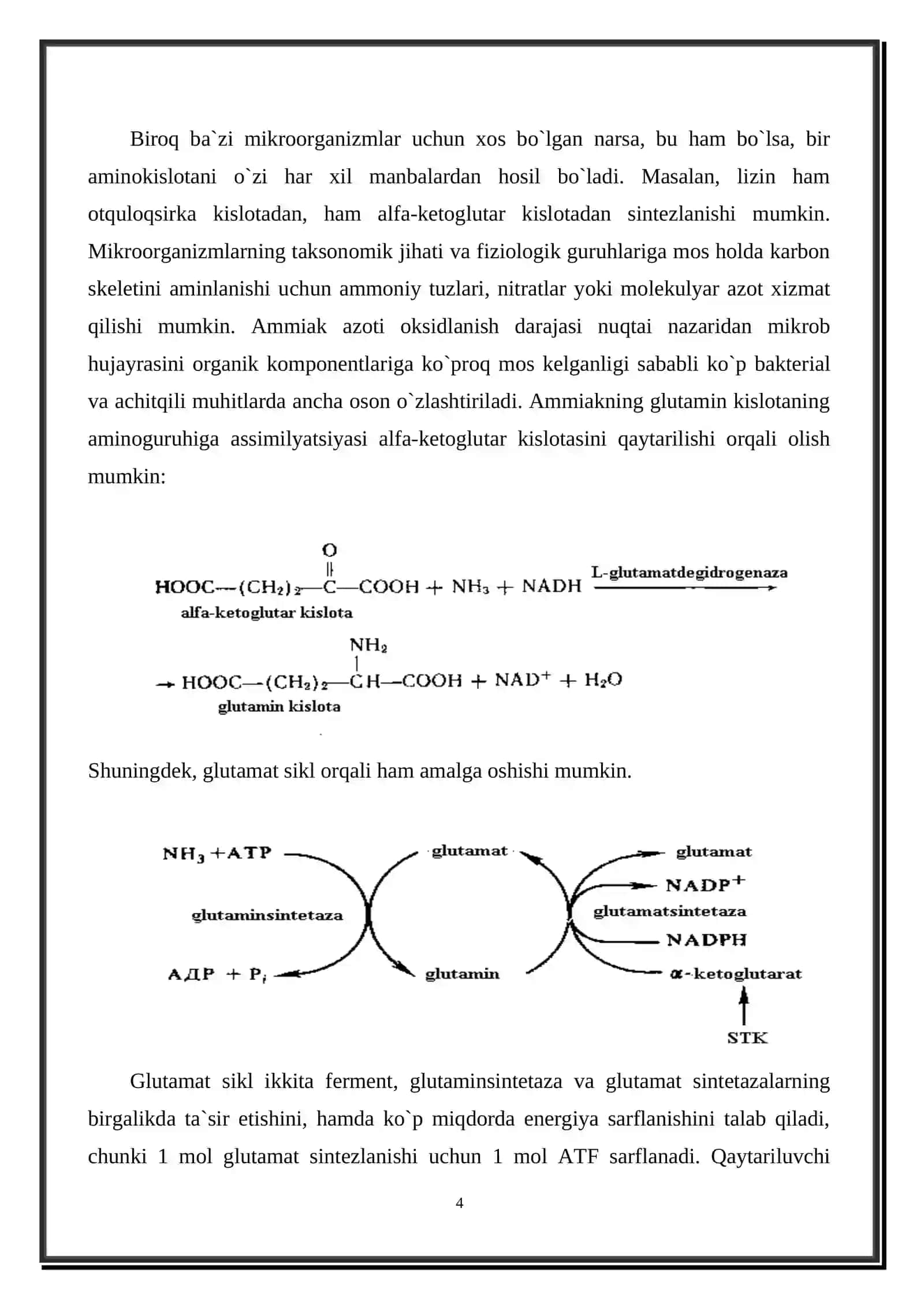AMINOKISLOTALAR BIOSINTEZI TEXNOLOGIYASI 4