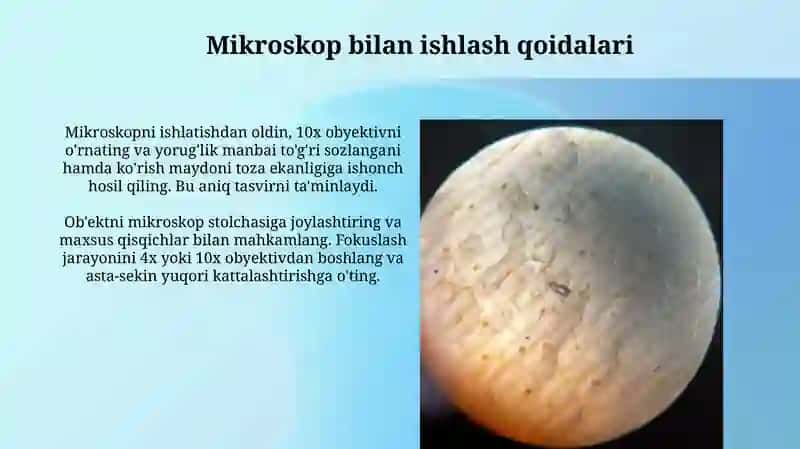 Mikroskop 4