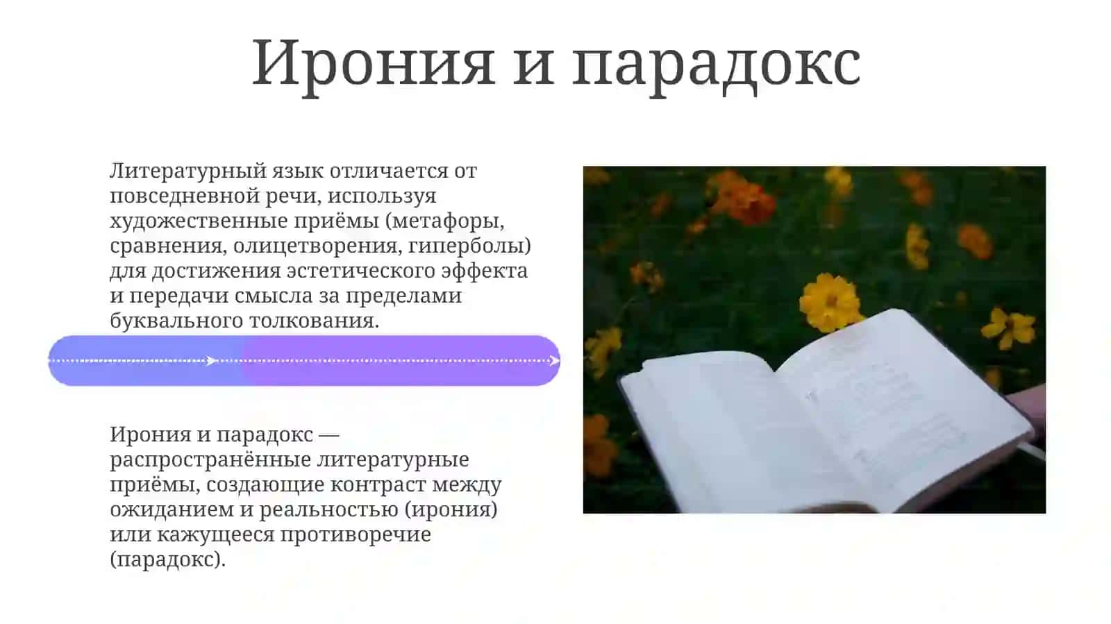 Литературный язык и его признаки 4