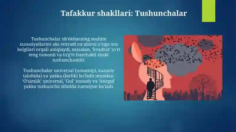 Falsafandan mustaqil ish 4