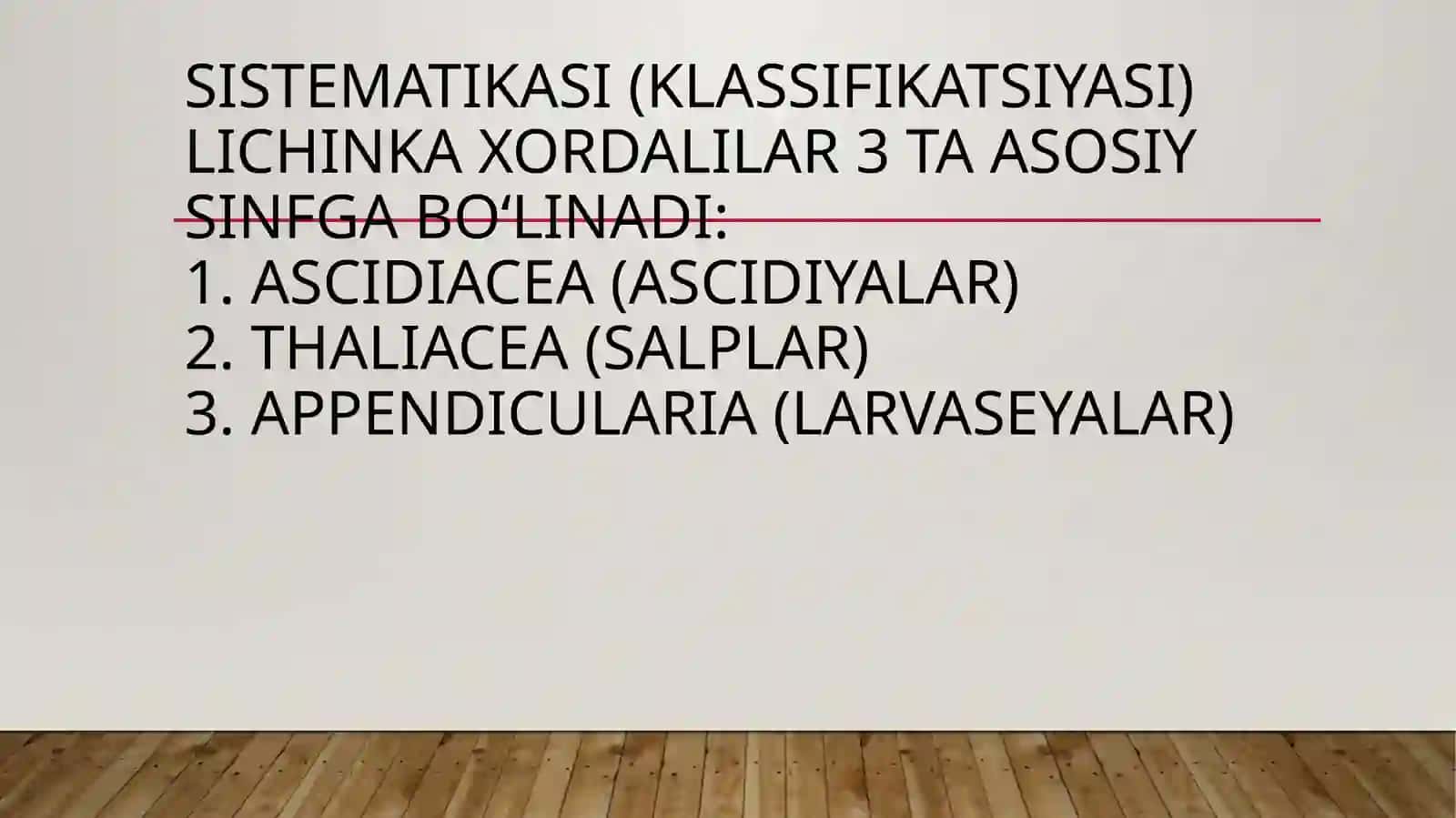 Xordalilartipi –chordata,lichinkaxordalilar–urochordataKenjatipiningsistematikasivafilogeniyasi 4