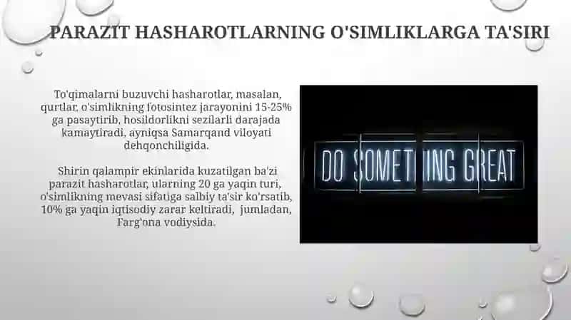Parazit va Yirtqich Hasharotlar 4