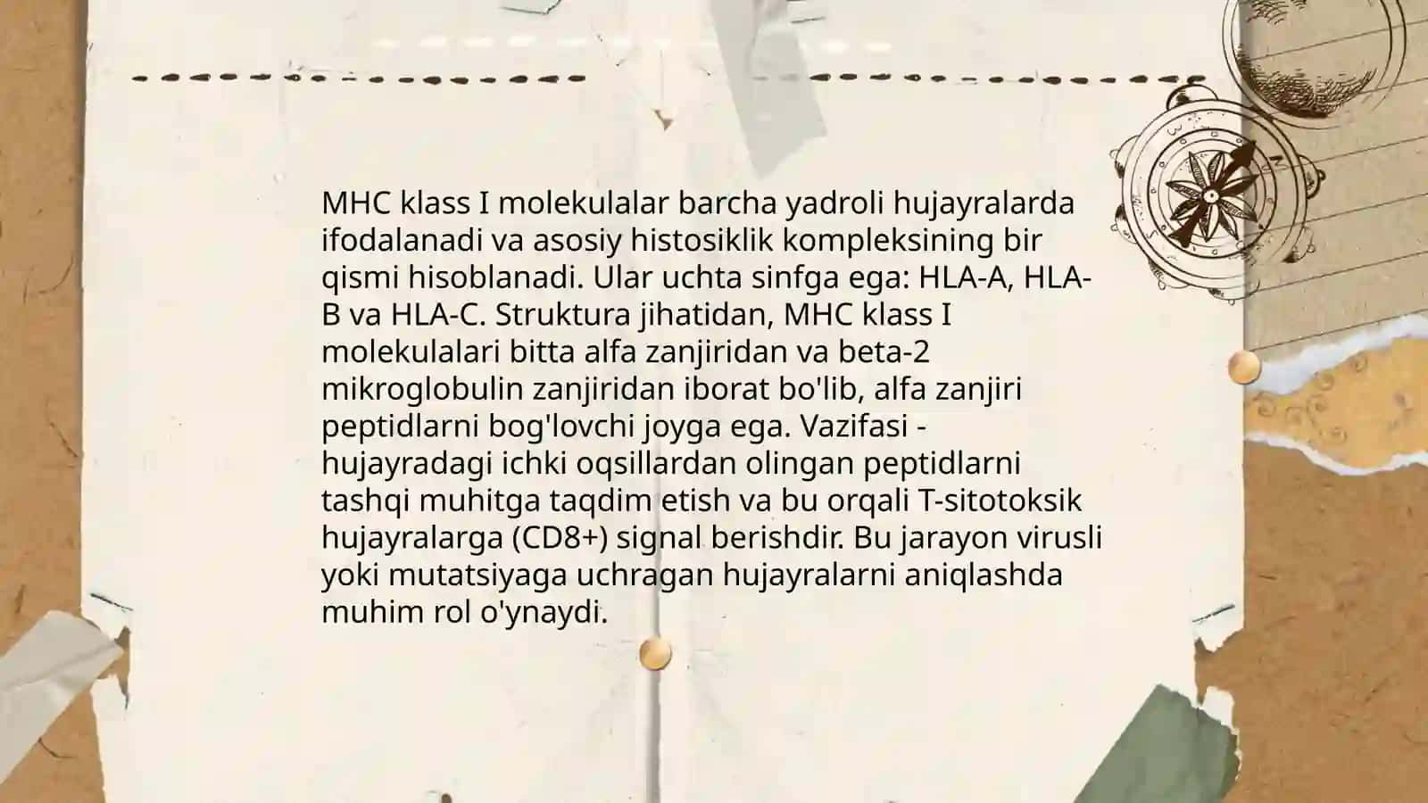 HLA-tizimi (MHC-tizimi). Komplement tizimi 4