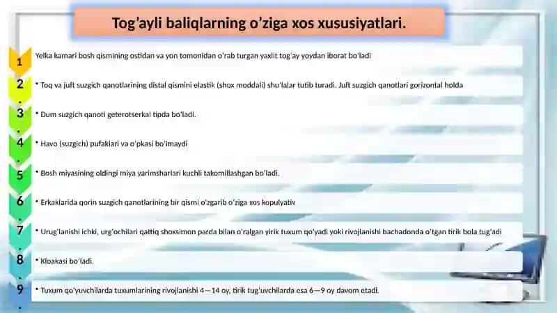 Tog’ayli baliqlar sinfining tavsifi 4