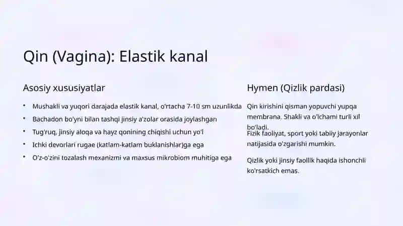 Ayollar jinsiy tizimining anatomik tuzilishi 4