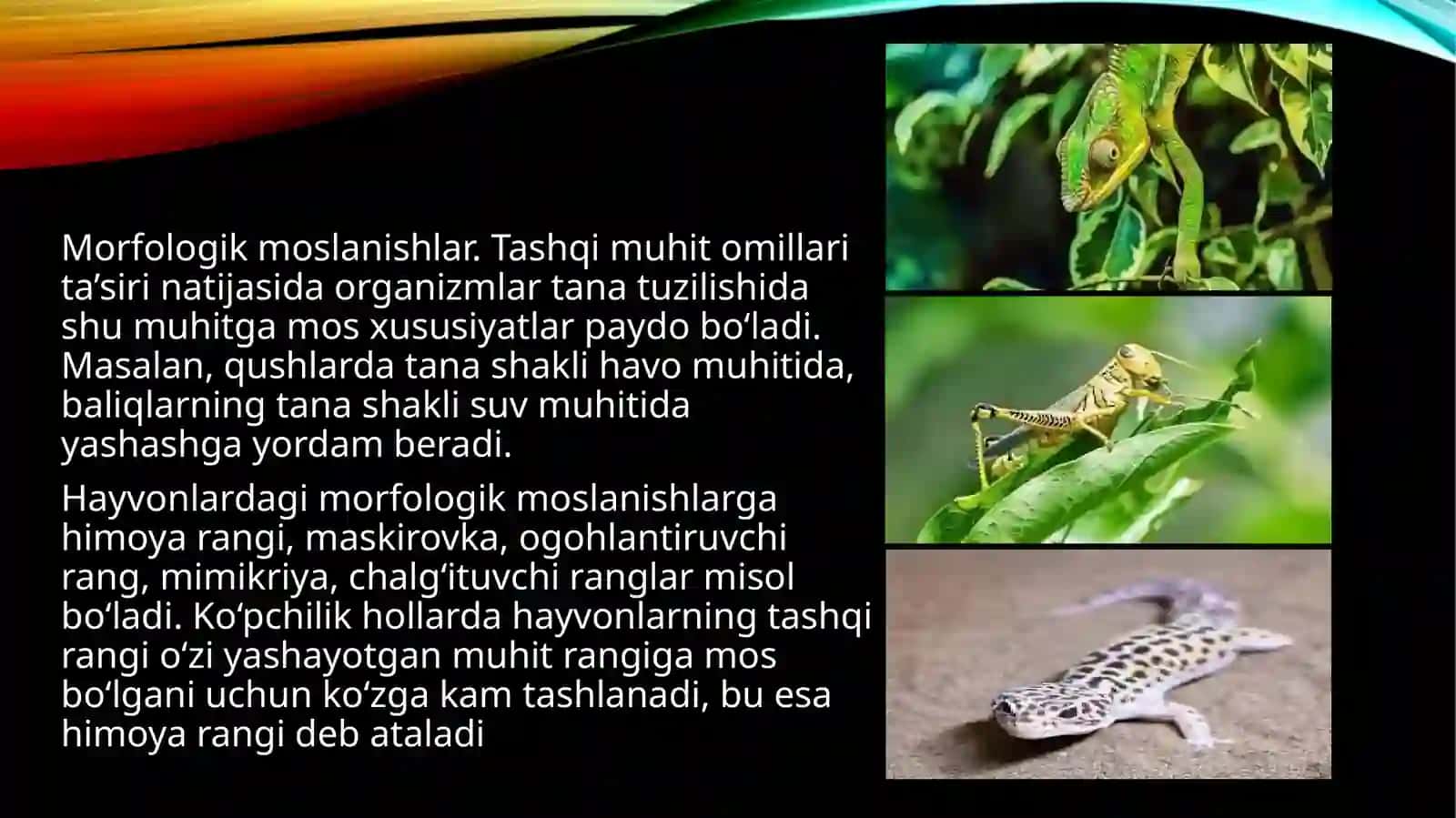 Moslanishning ahamiyati 4