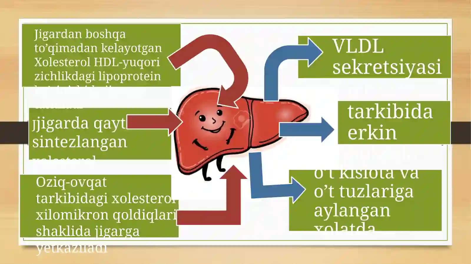 Xolesterolmetabolizmi 4