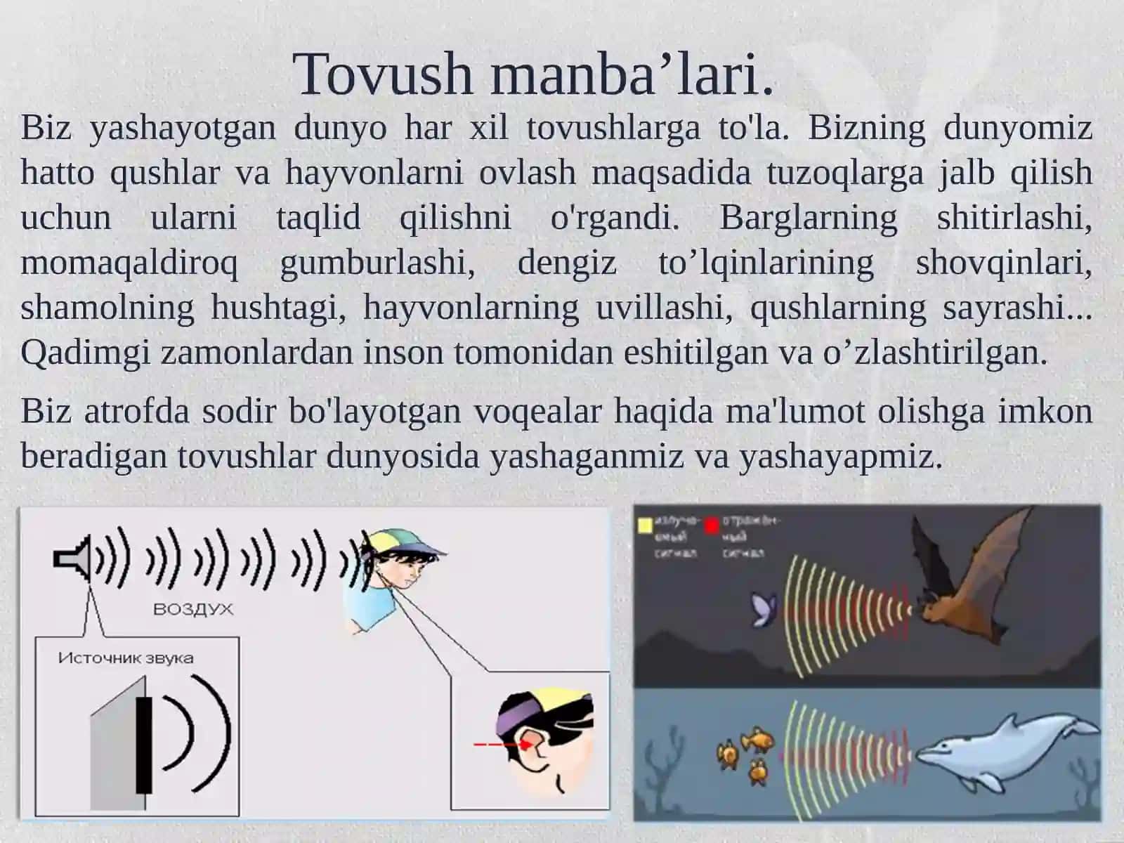 Tibbiyotda tovush va ultratovush 4