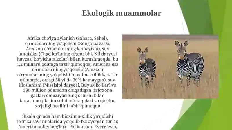Afrika va Amerika qitasining oʻxwashliklari va farqlari 4