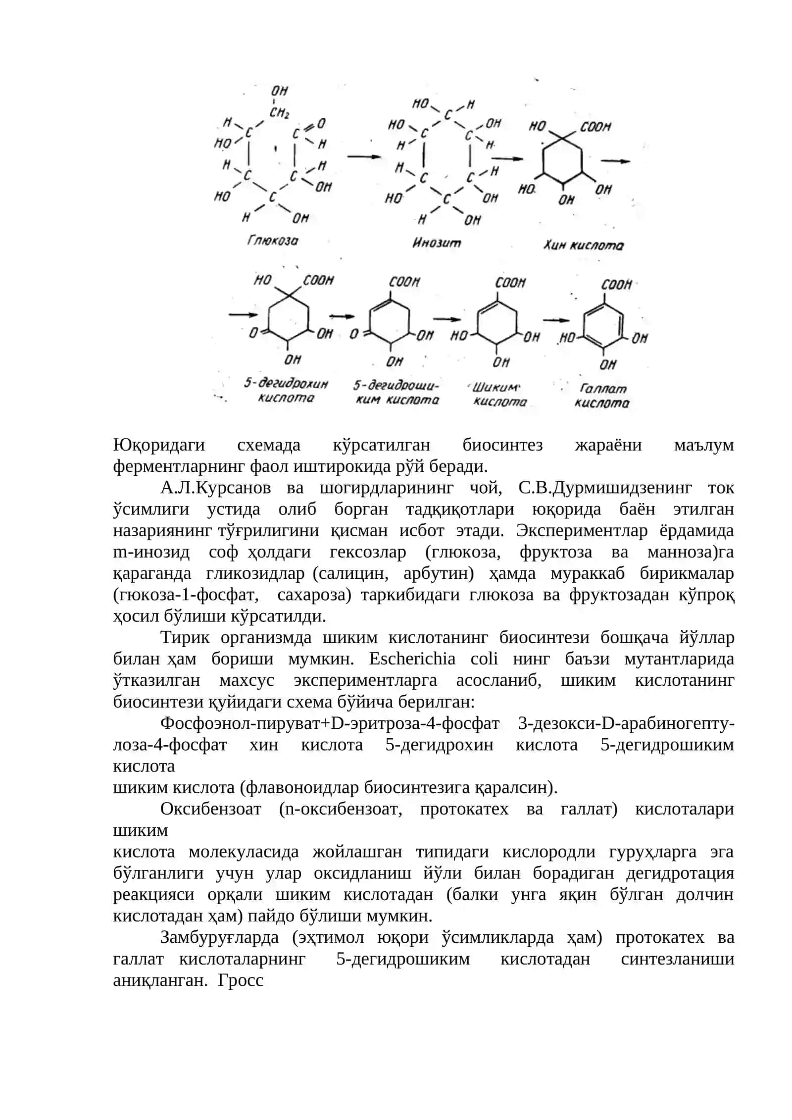 ОШЛОВЧИ МОДДАЛАР 4
