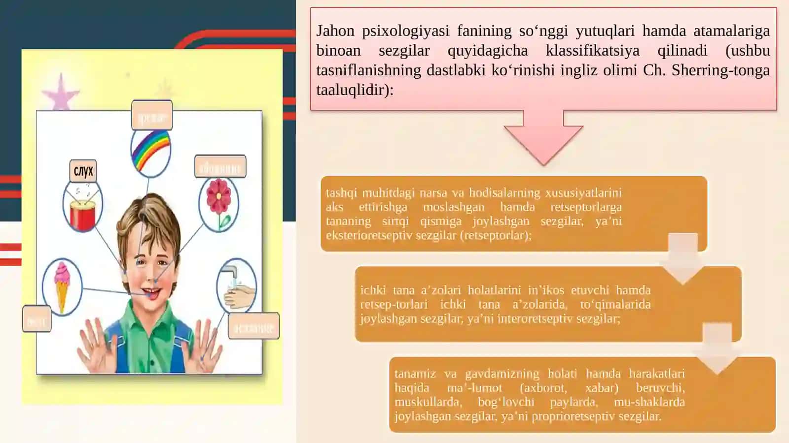 SEZGI VA IDROK UMUMIY TASAVVURLAR, YONDOSHUVLAR 4