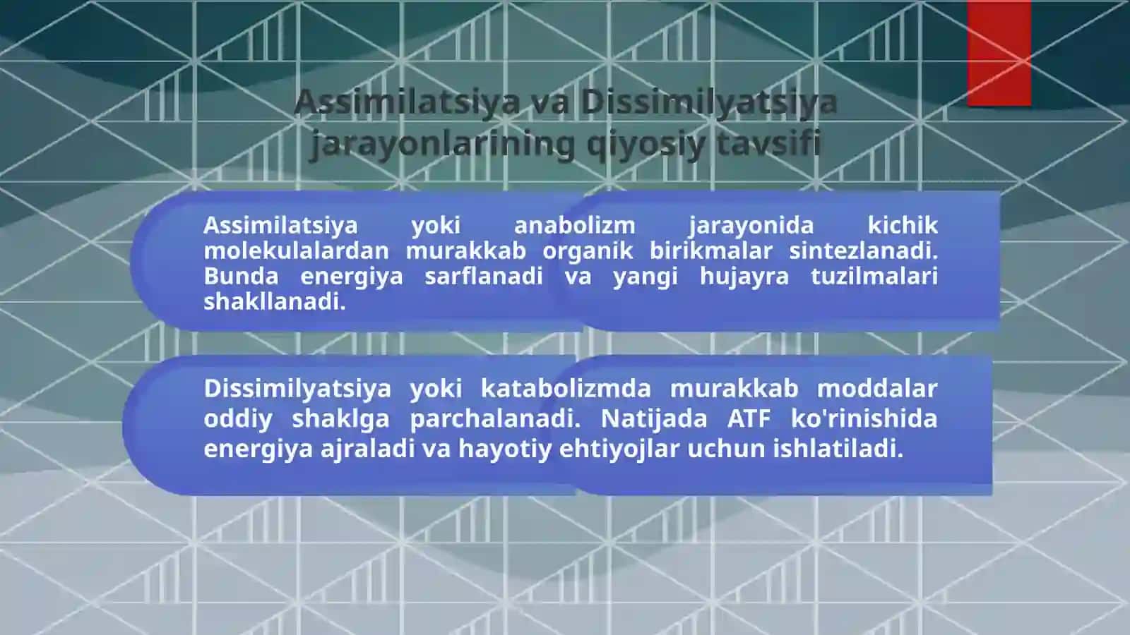 Modda va energiya almashinuvi: Hayotning asosi 4
