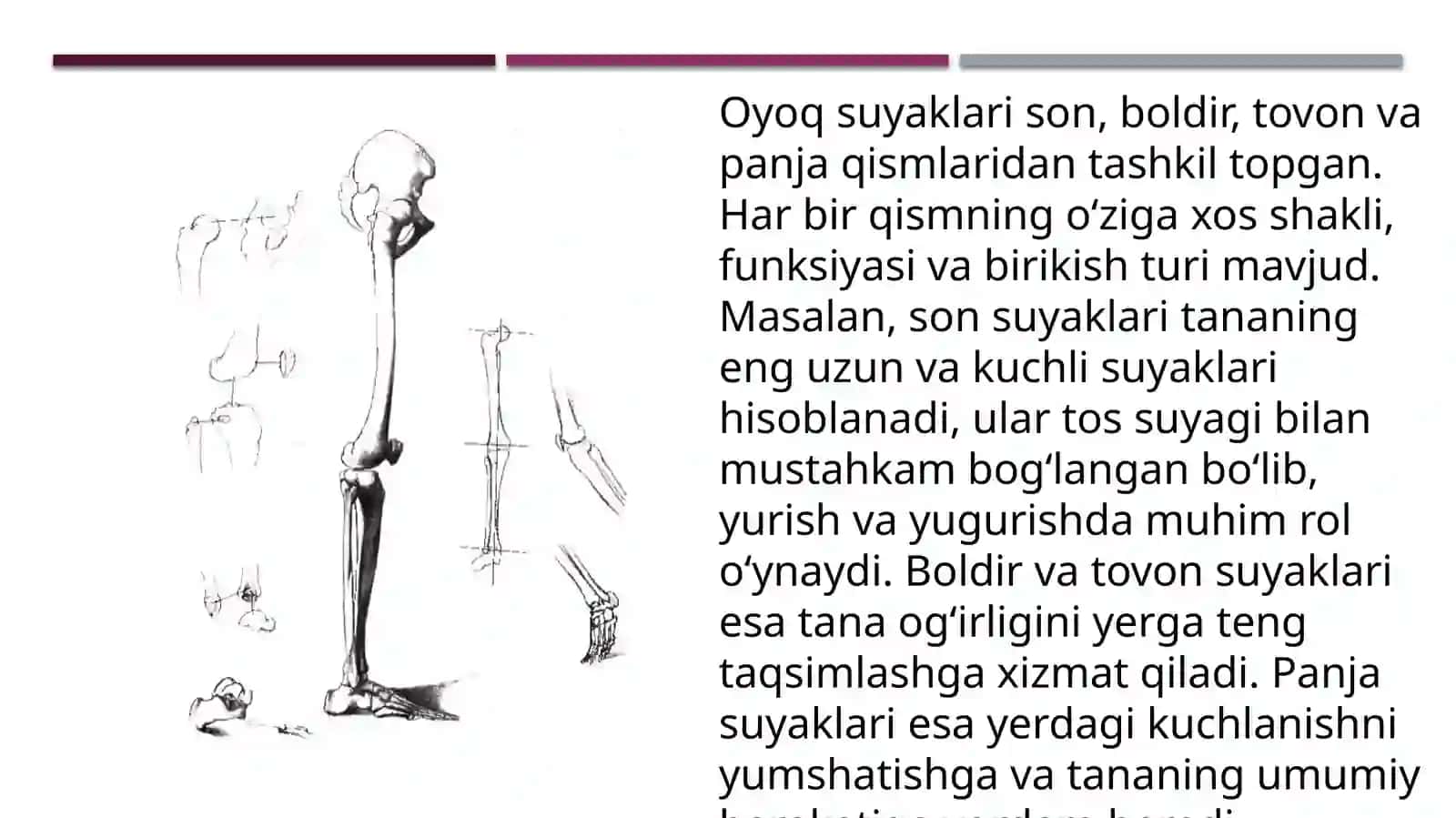 Oyoqsuyaklarining birlashuvi 4