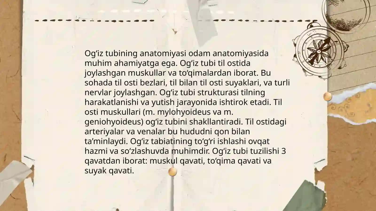 Og‘iz bo‘shlig‘i 4