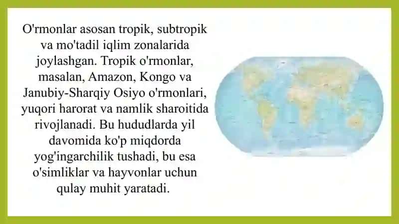 Dunyo o'rmonlarining geografik tarqalishi Prensimlari 4