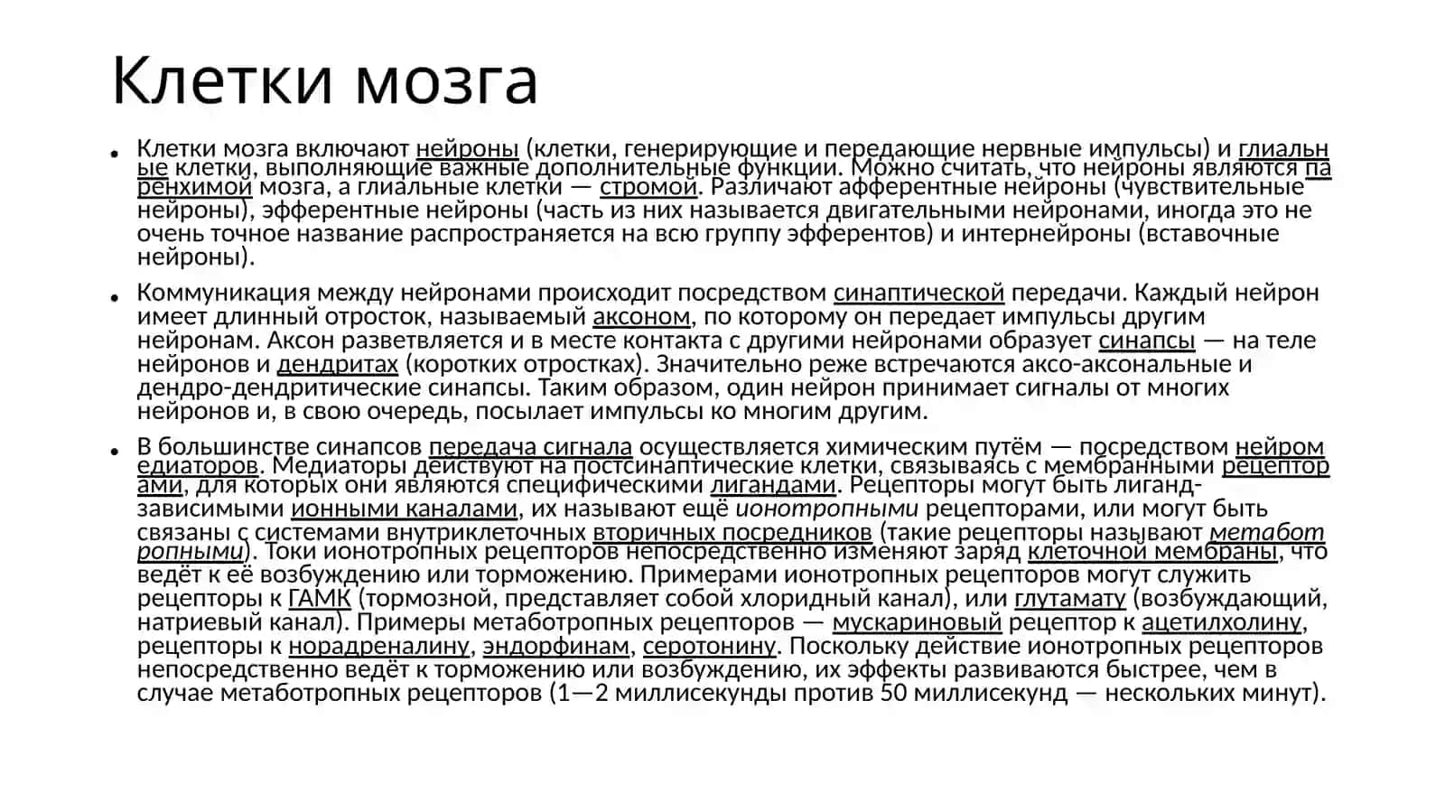 Головной мозг 4