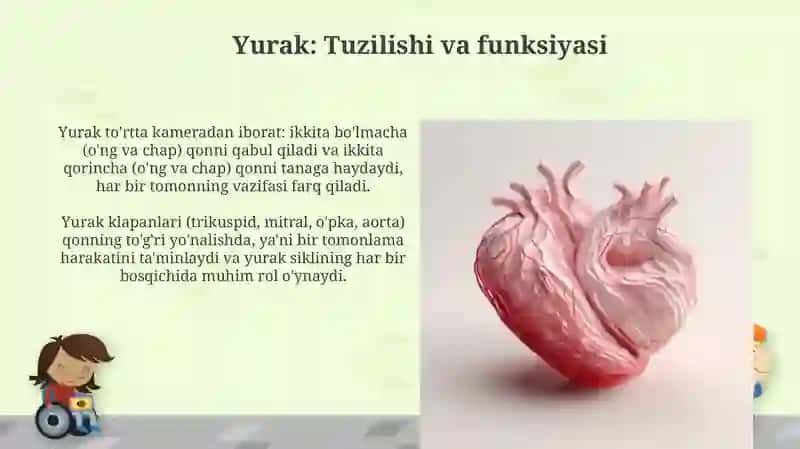 Qon aylanish tizimi 4