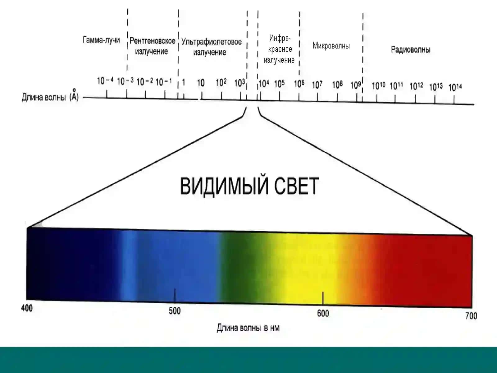 СЕНСОРНЫЕ СИСТЕМЫ 4