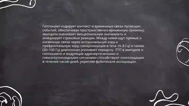 Роль миндалины (амигдалы) в формировании сильного страха 4