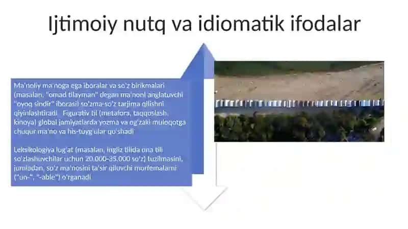 Leksikalogiya va semasiologia 4
