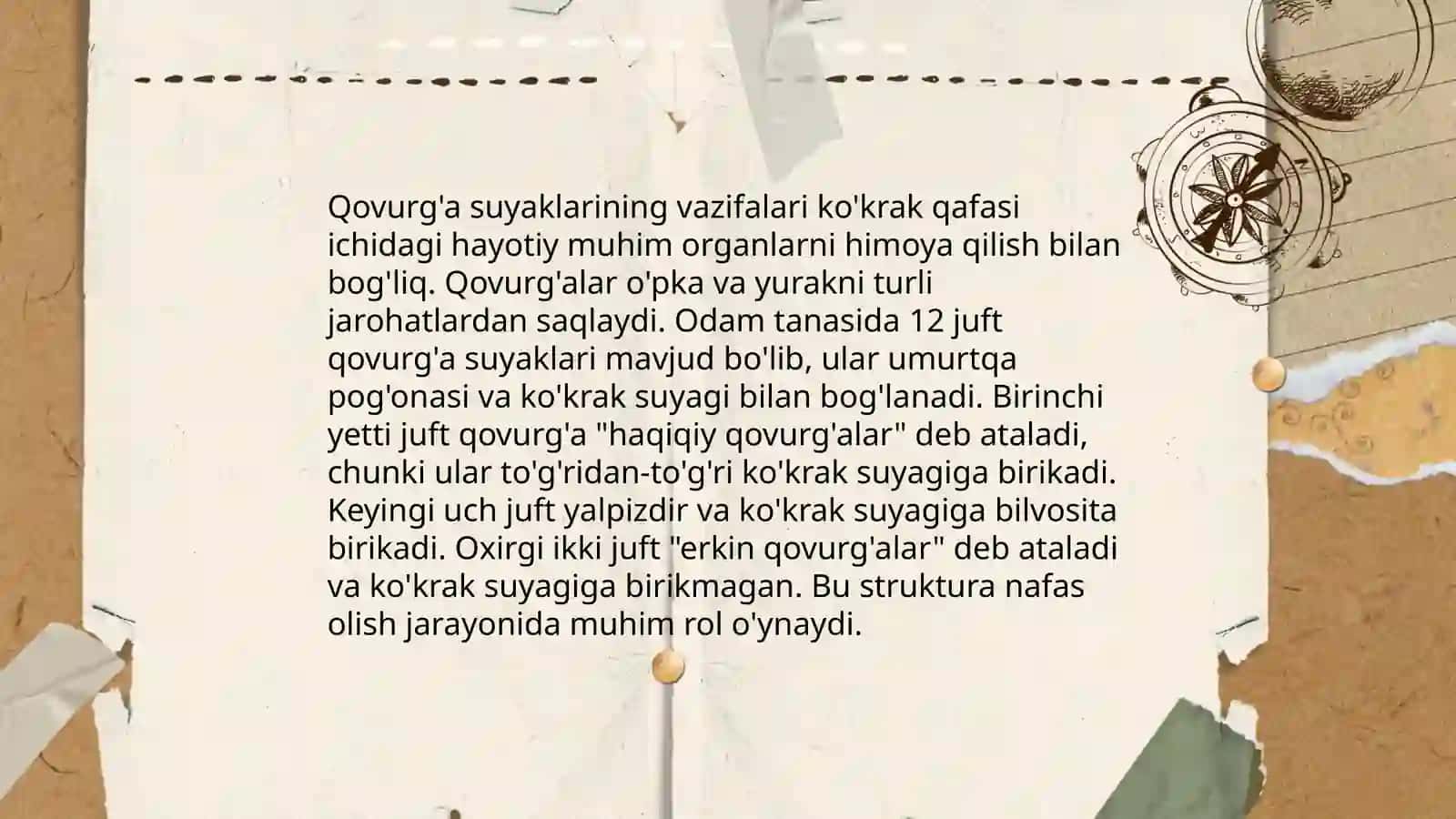 Qovurg'a va tosh suyagi 4