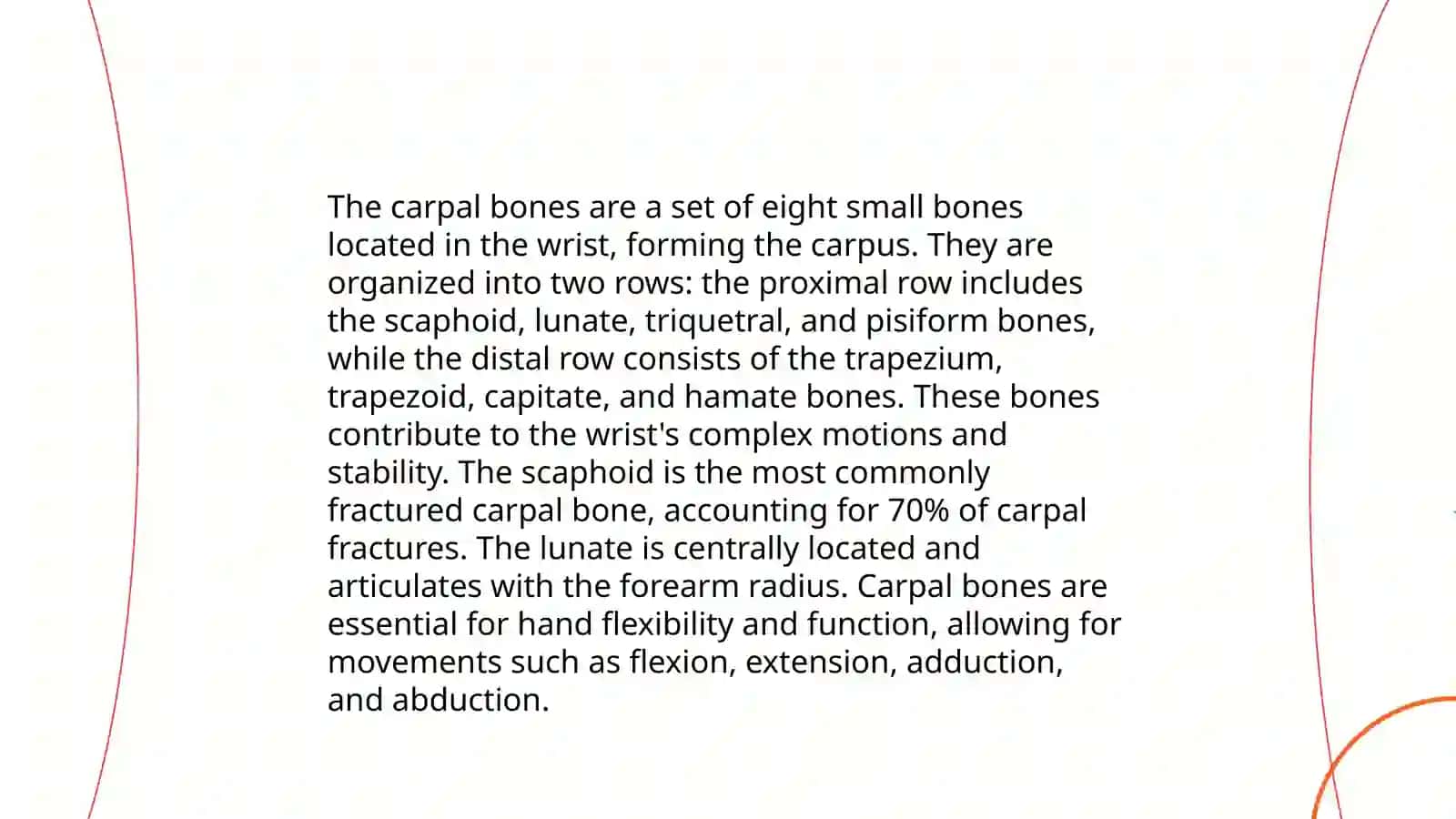 The skeleton:Hands, eyes 4