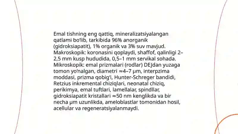 Tishning umumiy anatomik tuzilishi 4