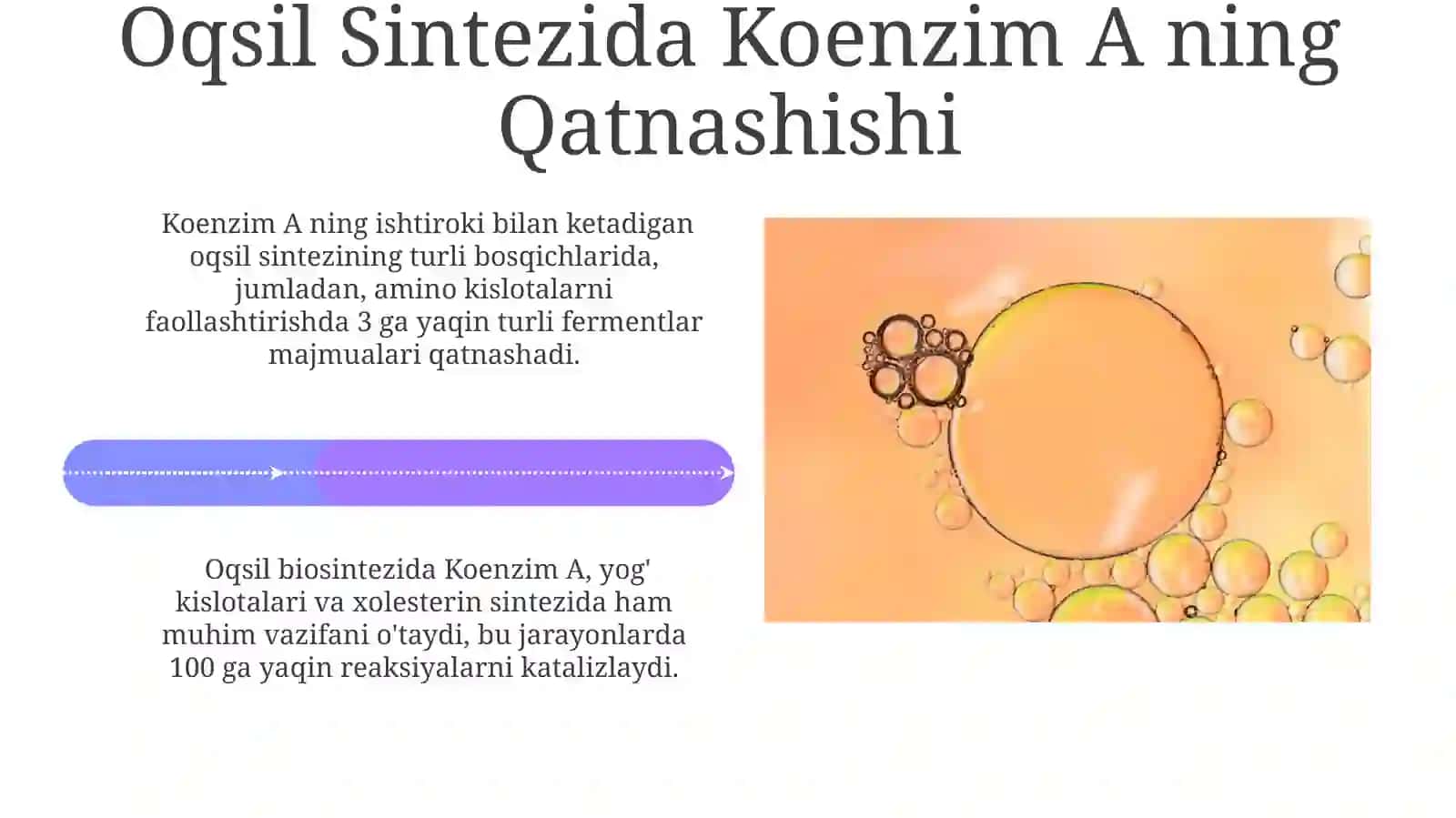 Pantotenik Kislota (B5 Vitamini) 4