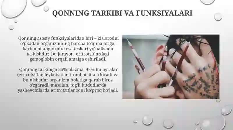 Qon va limfa 4