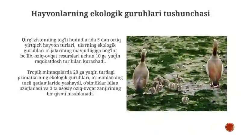 Hayvonlarning ekologik guruhlari 4